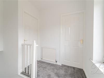 Picture 24